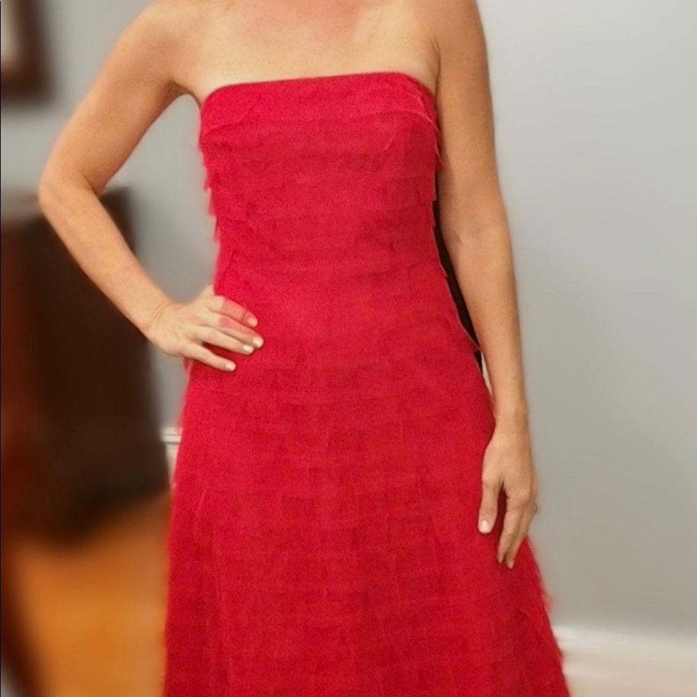 BCBG beautiful holiday dress